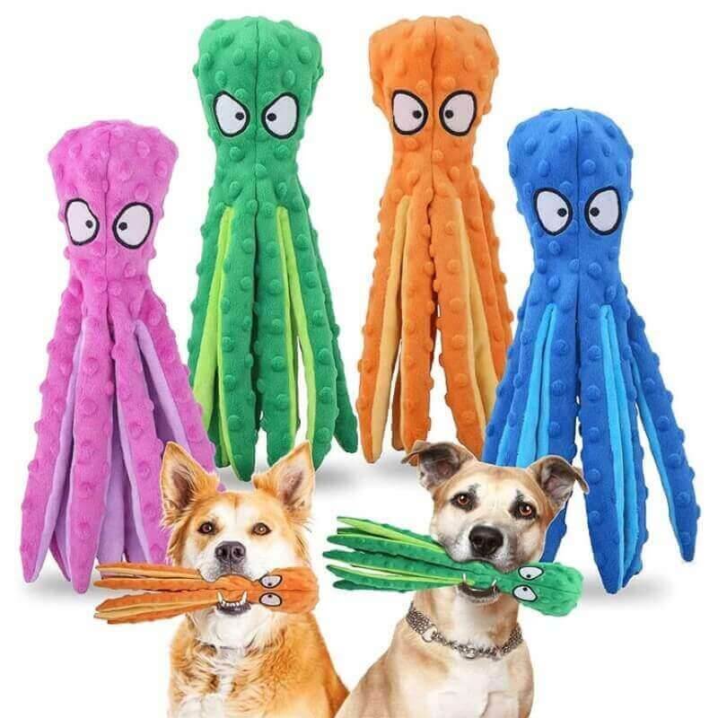 Pet Squeak Toys